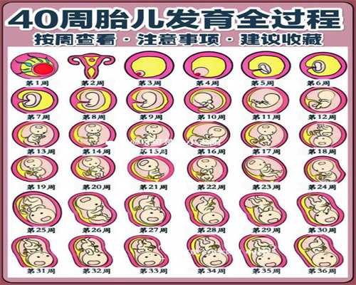 北京试管胚胎代孕_北京市属医院危重救治力量支援佑安医院一个月成效显著