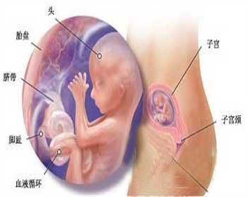 2022年找代孕妈妈的人-北京供卵_北京一个区孕检证明怎么写的证明该怎么办理