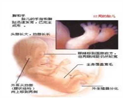 去哪里代孕-北京代孕生孩子多少钱_北京医疗单位千元以上诊疗须提前告知