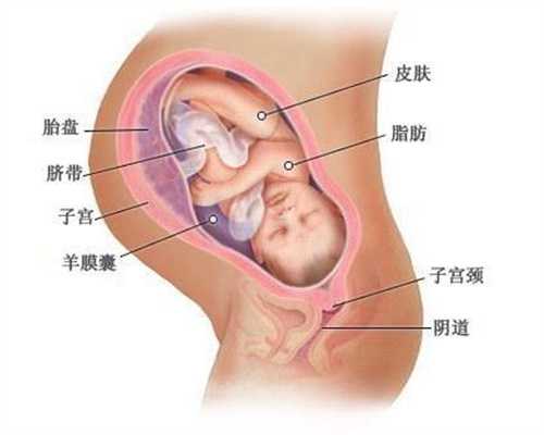 北京哪家医院能代孕-代孕收费_北京市垂杨柳医院试管婴儿具体流程是什么？