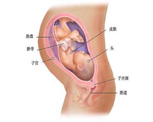 北京哪家医院能代孕-代孕收费_北京市垂杨柳医院试管婴儿具体流程是什么？