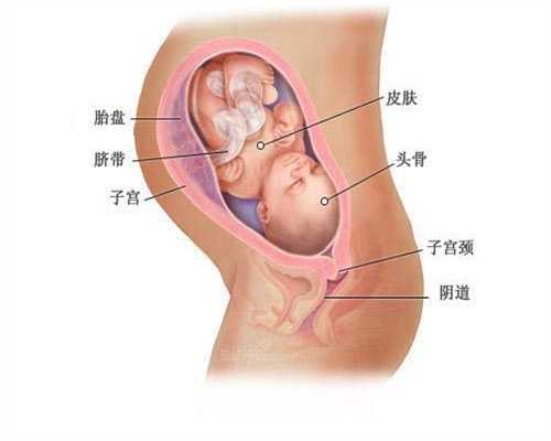 北京合法代孕一般多少钱-我找了个代孕妈妈_北京地坛医院（首都医科大学附属