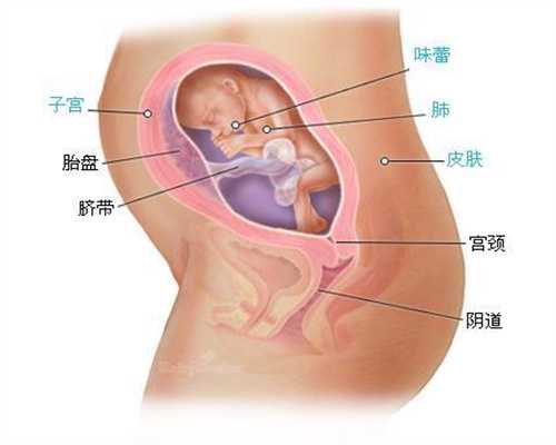 去做代孕多少钱-北京代孕生儿子价格_北京试管婴儿更好的医院36岁人工授精成