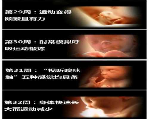哪里可以找到代孕女人-北京代孕的多少钱_北京市大兴区人民医院（首都医科大