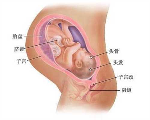 北京代孕产子中心哪家好-2022年代孕生子_北京试管婴儿成功率高的医院是哪一家