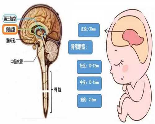 北京代孕生了双胞胎公司-2022年代孕成功率_北京做试管婴儿，如何提高妊娠率？