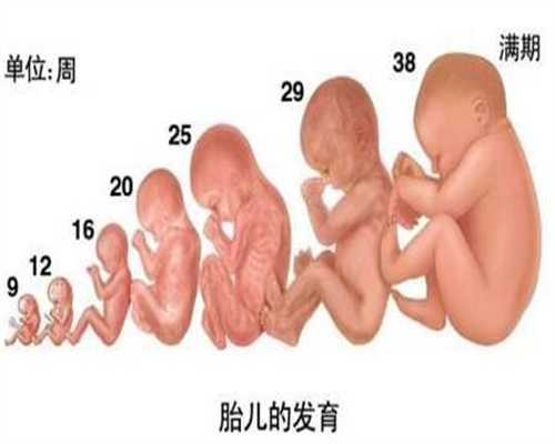 不孕不育试管助孕-北京试管供卵中介骗局_北京三院的一代试管婴儿费用一个周
