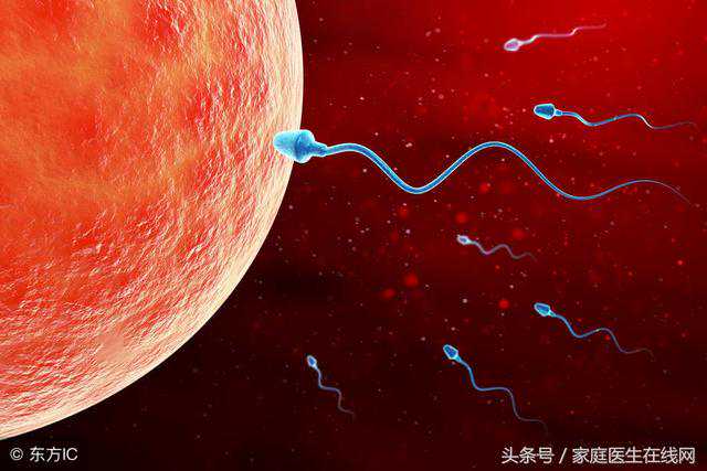 北京供卵可靠吗哪里有_想要健康二胎，备孕还需做好这3点，有效预防卵子老化